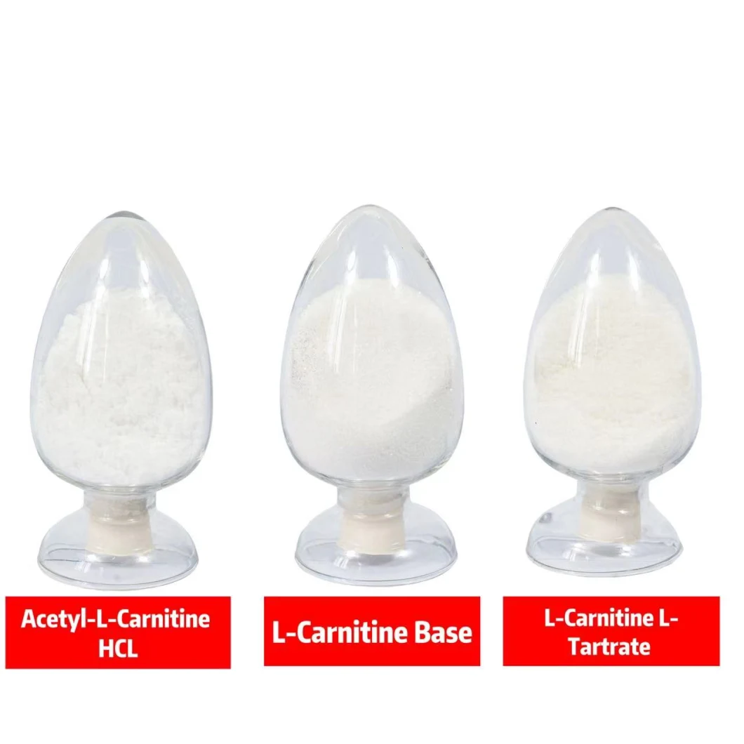 Hot Sale, High Quality and Best Price, L-Carnitine Tartrate Raw CAS: 36687-82-8, Safety Transport, Loss Weight Food Gradeadditive, Discount Is Here!